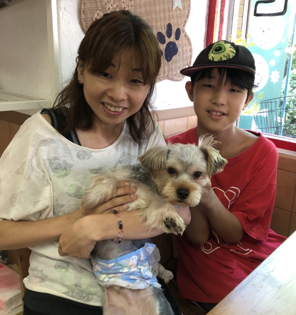 【運命の赤い糸見～つけた💓ヨークシャーテリアのひばり君💕】2018,8,3